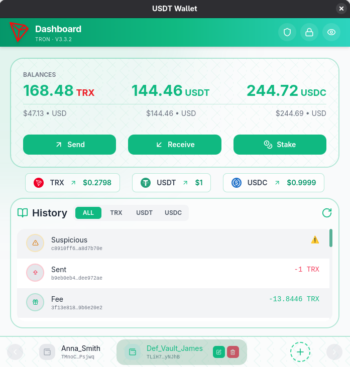 USDT wallet interface